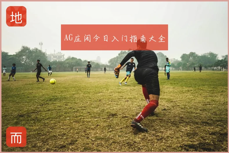 AG庄闲今日入门指南大全