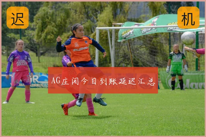 AG庄闲今日到账延迟汇总